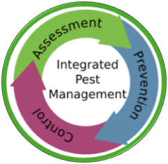 IPM-Circle-2