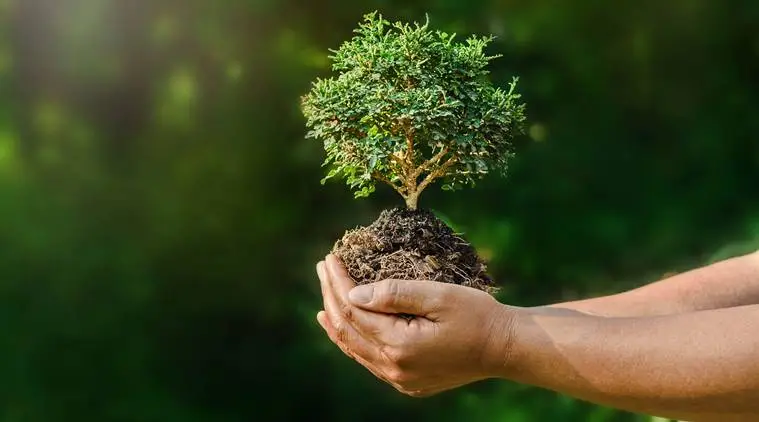 One student one tree project