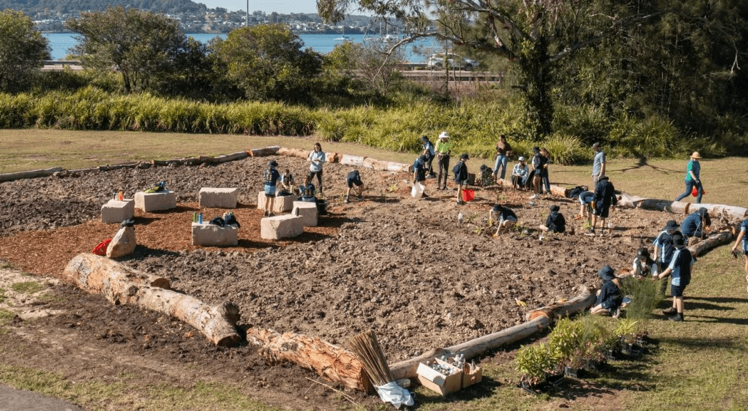 The Tiny Forest in Sheikh Communities