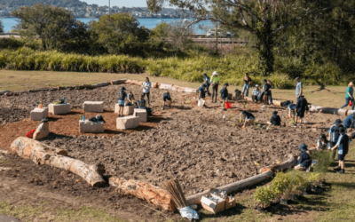 The Tiny Forest in Sheikh Communities