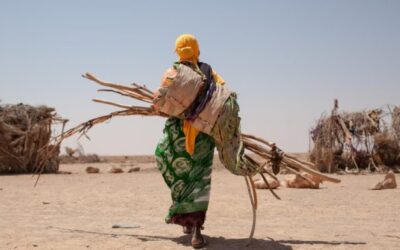 COVID-19 induced economic and food security crisis in Somali ecosystem.