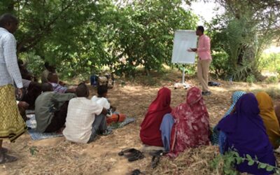 African Trust organized training on agricultural pesticides.